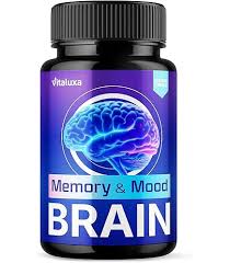 "brain memory"